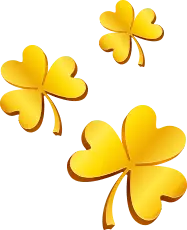 three golden three-leaf clovers